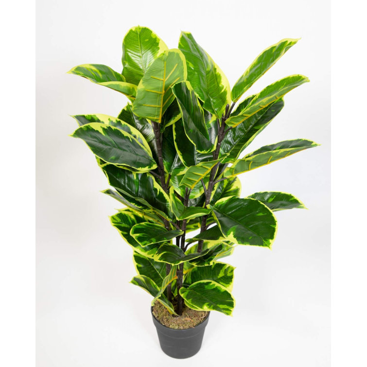 The Seasonal Aisle 77Cm Artificial Foliage Tree in Pot Wayfair.co.uk